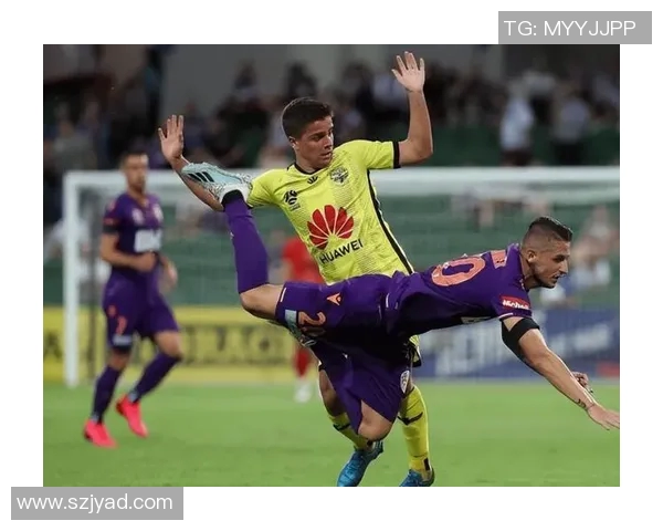 惠灵顿凤凰主场迎战中部海岸球队期待精彩对决与胜利之争